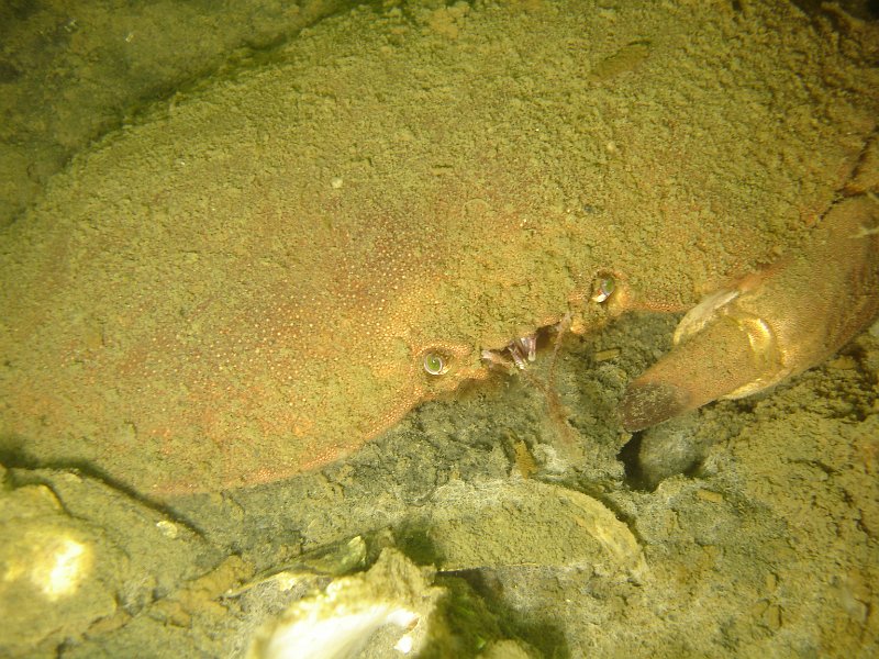 2012-07-07 15-01-18 Ludo.JPG
